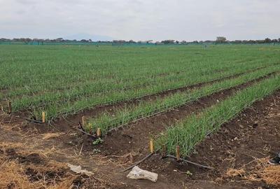 Land in Bisil - 3