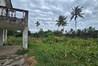 6 ac Land at Bomani - 3