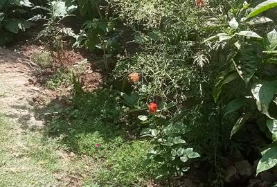 10 Bed House with Garden at Mwea - 4
