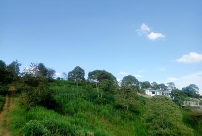Land in Tigoni - 4