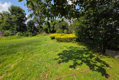 Commercial Property with Service Charge Included in Lavington - 3