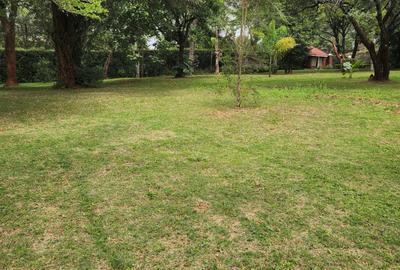 4 Bed House with En Suite at Hardy - 2