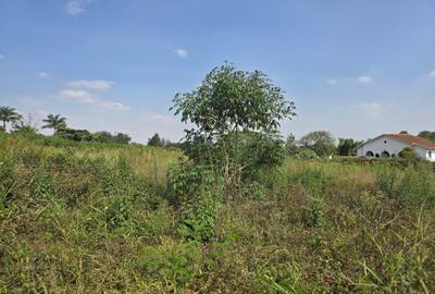 Land in Runda - 4