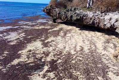 Land at Funzi Island - 4