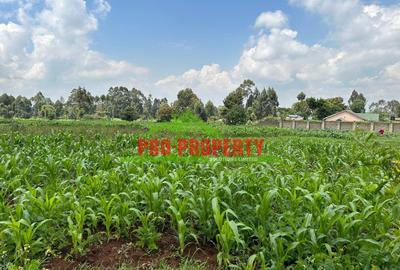 0.4 ha Land at Tilisi - 2