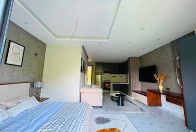 Serviced Studio Apartment with En Suite at Volume Road - 2