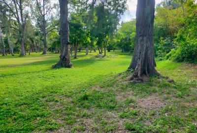 3.9 ac Land at Kikambala Beach - 4