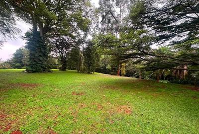 4 Bed House with Staff Quarters in Kitisuru - 3