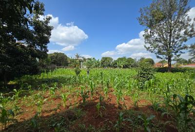 Residential Land in Runda - 3