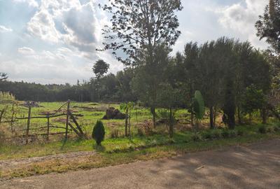 Residential Land in Garden Estate - 3