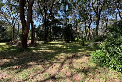 1 ac Land in Karen - 4
