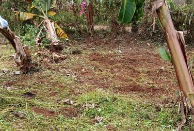 Land in Kinoo - 2