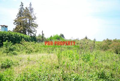 0.05 ha Residential Land at Kamangu - 4