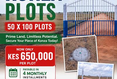 0.045 ha Land at Konza