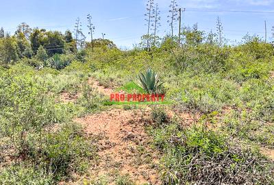 0.05 ha Residential Land at Lusigetti - 4