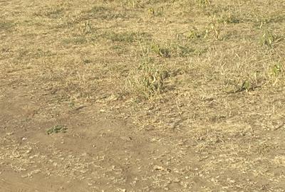 17 ac Land in Ongata Rongai - 4