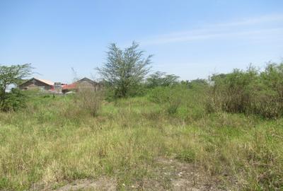 Land at Nyasa Rd - 3