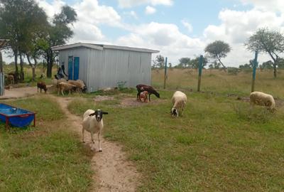 0.045 ha Land at Loitoktok Road Off Namanga Highway