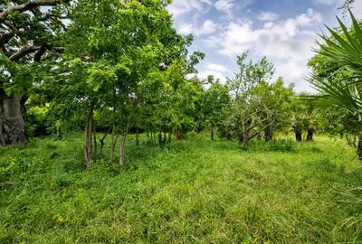 22 ac Land at Kondutsi - 4