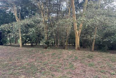 Land in Karen - 4