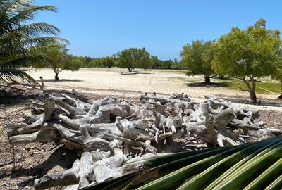 Land at Funzi Island - 3