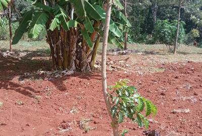 0.25 ac Land at Ruaka - 2