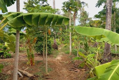 1 ac Land in Kikambala - 3