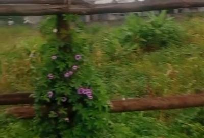 1.25 ac Land in Lavington - 3