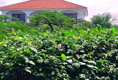 4 Bed House with En Suite at Kuruwitu Beach - 3