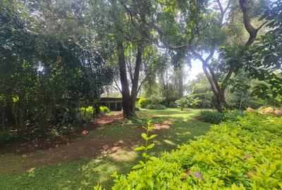 4 Bed House with Staff Quarters at Loresho - 4