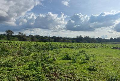 25 ac Land in Kitisuru