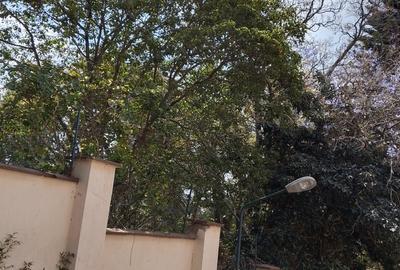 4 Bed Townhouse with En Suite at Westlands - 3