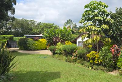 1 Bed House with En Suite in Spring Valley - 4