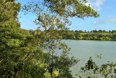 Land in Mtwapa - 4
