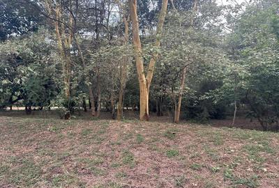 Land in Karen - 3