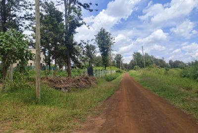 0.25 ac Residential Land in Tatu City
