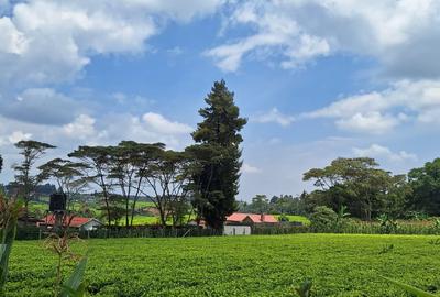 1 ac Residential Land at Tigoni - 4