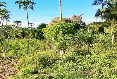 Land at Kwale - 4
