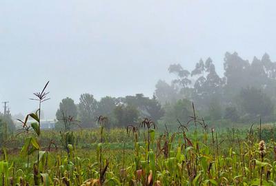 2 ac Commercial Land at Rironi - 3