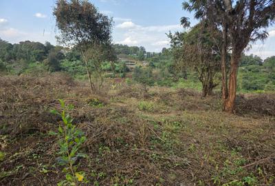 Land in Karen - 4