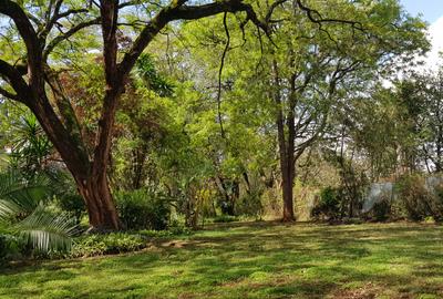 Residential Land at Mokoyot Close - 3