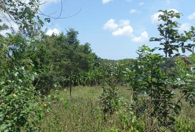 11 ac Residential Land at Ramisi - 4