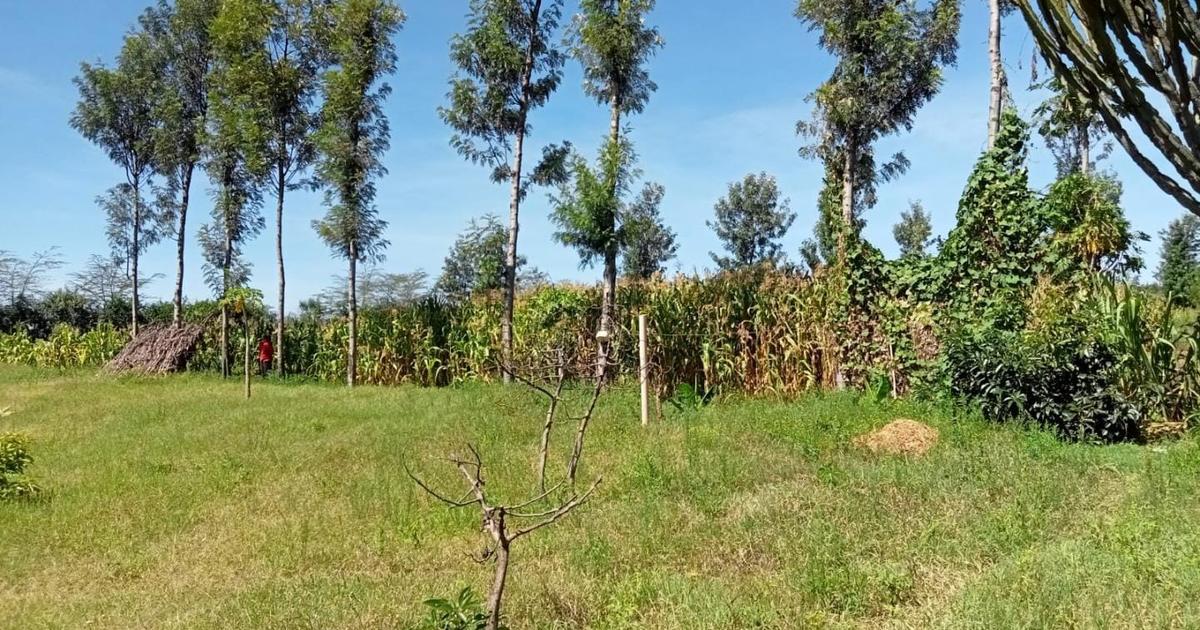 10 ac Land in Gilgil for KSh 30,000,000 BuyRentKenya