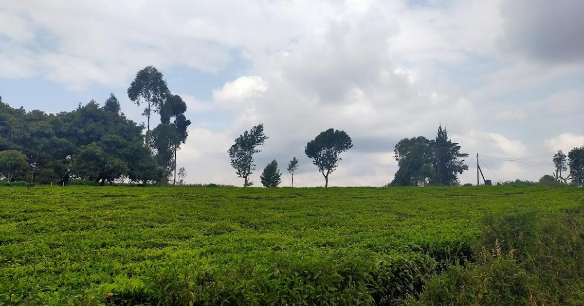 Land in Githunguri for KSh 15,000,000 BuyRentKenya