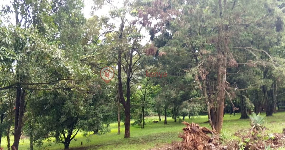 Land in Karen BuyRentKenya Land in Karen BuyRentKenya