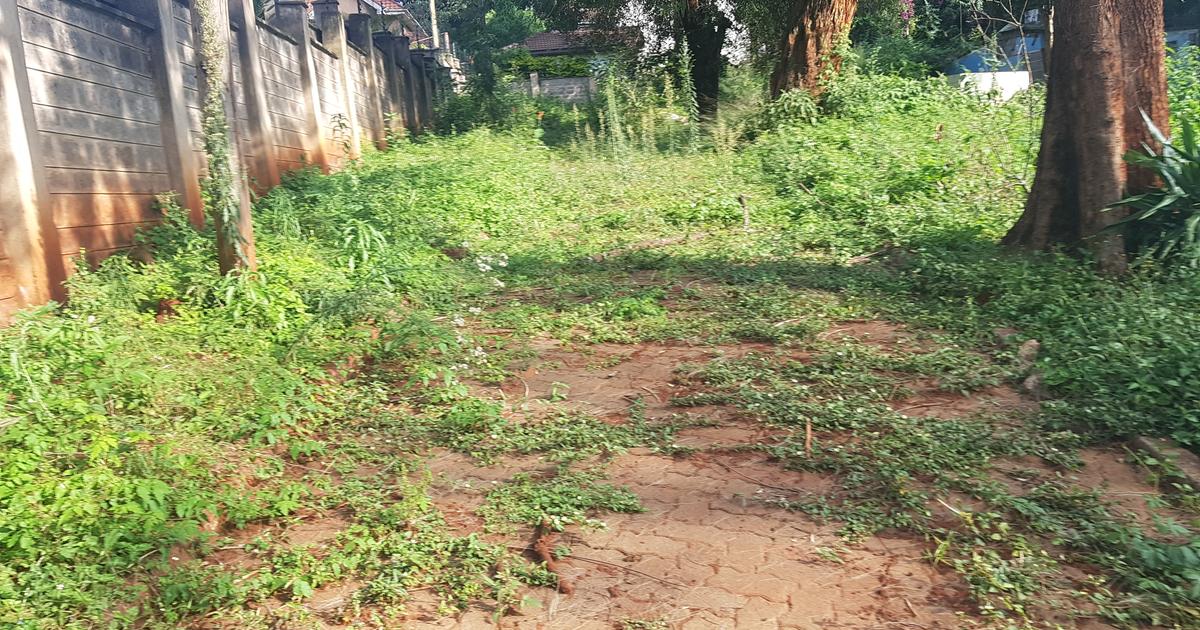 Land in Lavington for KSh 95,000,000 BuyRentKenya