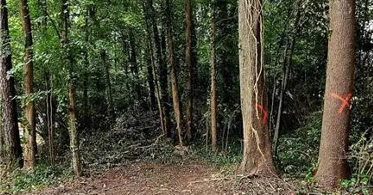 5.1 ac Land at Safari Park Hotel Usiu Road