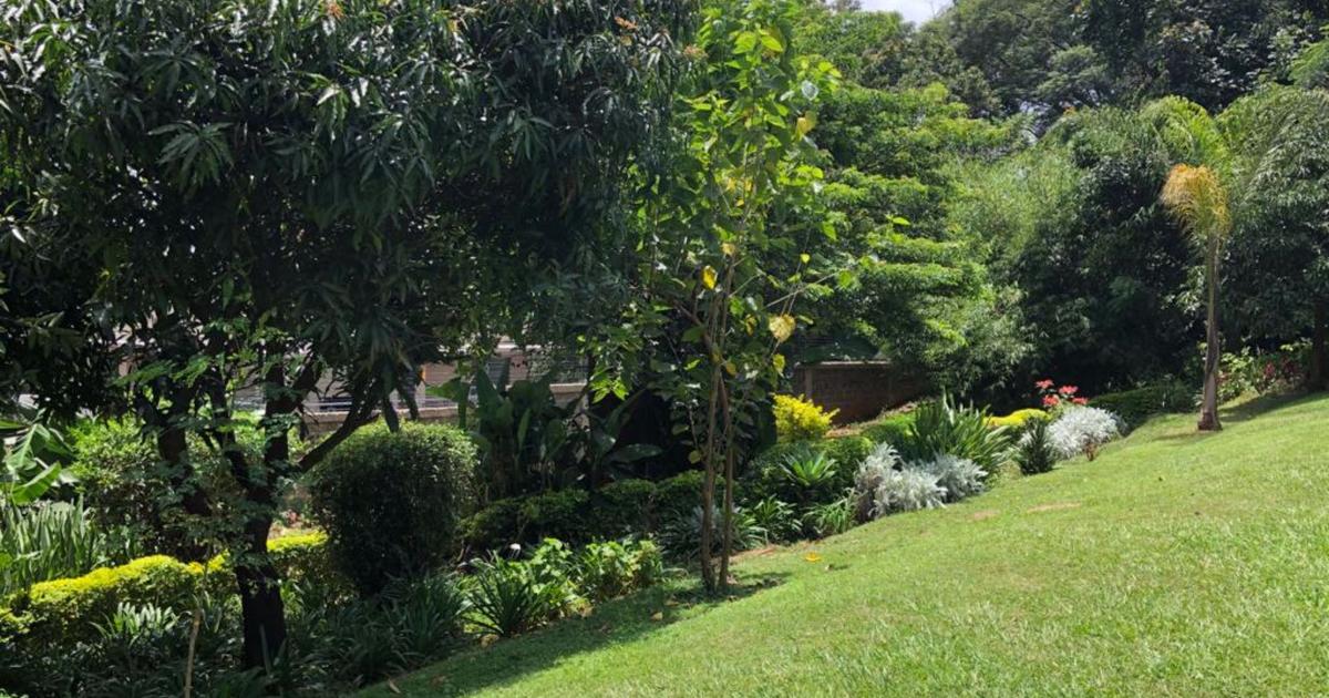 Land in Lavington for KSh 130,000,000 BuyRentKenya
