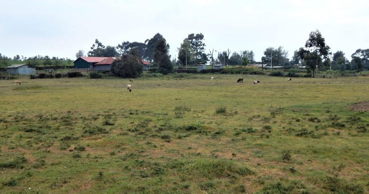 Land for Sale in Limuru, Kiambu BuyRentKenya