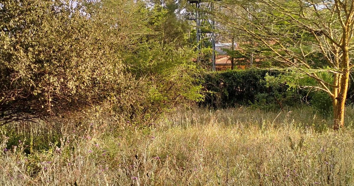 Land in Karen Hardy for KSh 55,000,000 BuyRentKenya